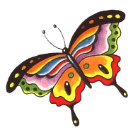 a colourful butterfly